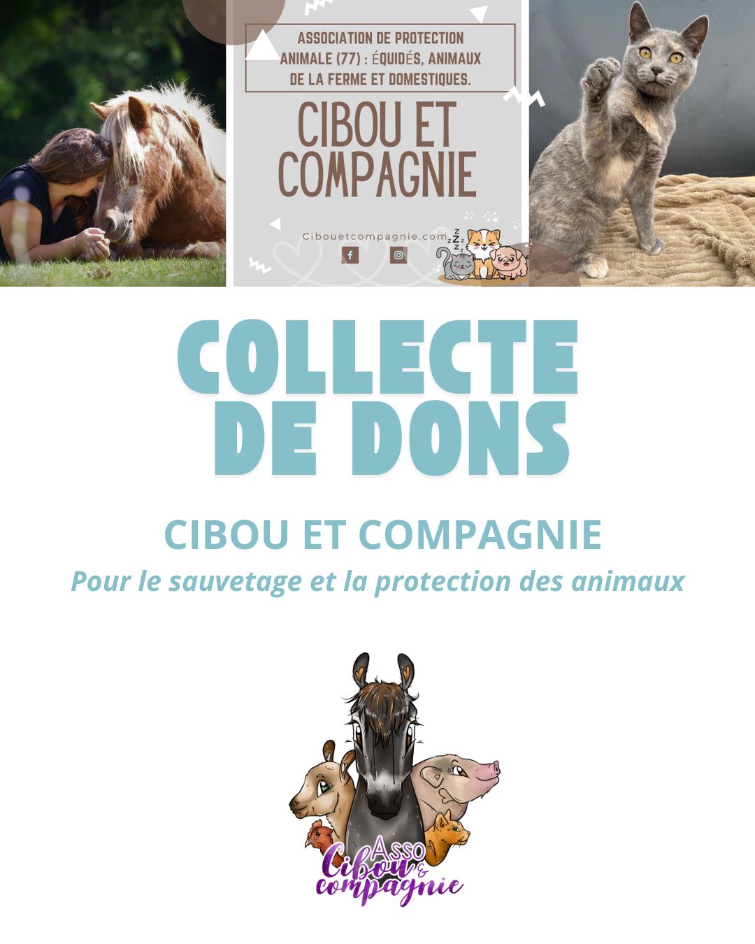Design sans titre (26)